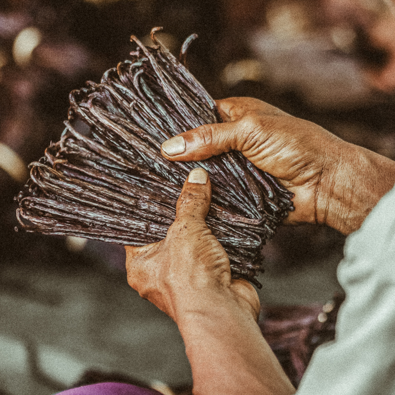 Vanilla from Madagascar