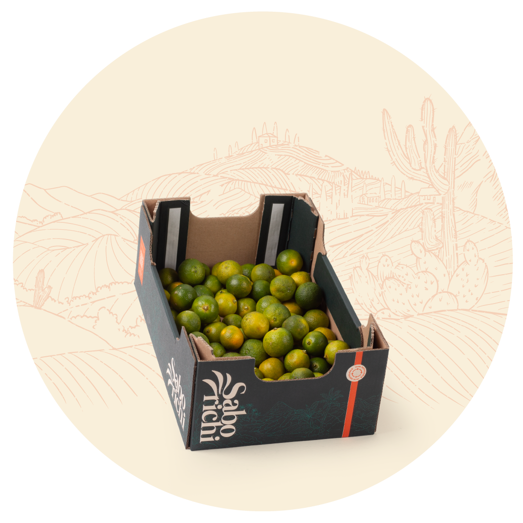 Calamansi