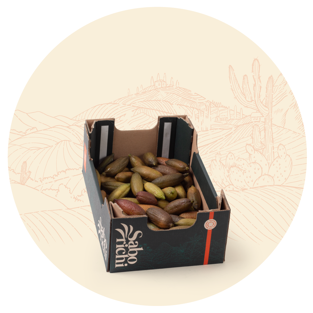 Fingerlime