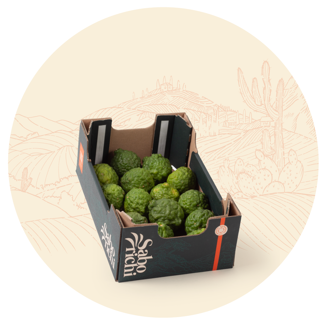 Kaffir lime