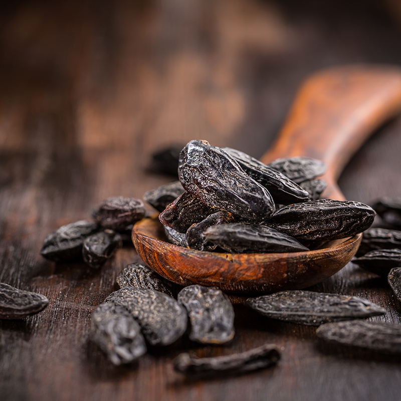 Fragrant tonka beans for baking and cooking